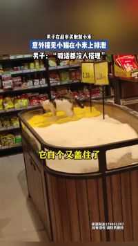男子在超市买散装小米，意外撞见小猫在小米上排泄 男子：“喊话都没人搭理”