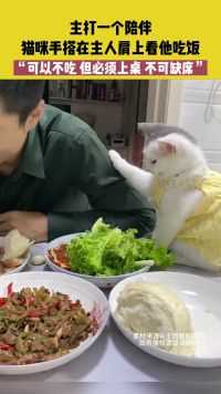 吉林，主打一个陪伴，猫咪手搭在主人肩上看他吃饭，“可以不吃 但必须上桌 不可缺席”（素材来源：@王团圆的喵记 ）