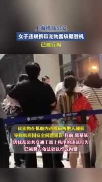 上海机场公安：女子违规携带宠物蜜袋鼯登机，已被行拘