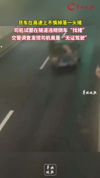 货车在高速上不慎掉落一头猪 司机试图在隧道违规倒车“找猪” 交警调查发现司机竟是“无证驾驶”