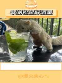 的小松鼠好爱喝酒！