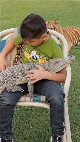 男孩和鳄鱼辣条互动。