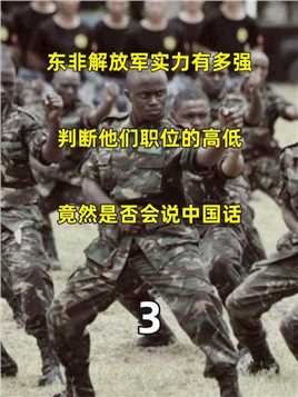 3 .东非解放军实力有多强，判断他们职位的高低，竟然是否会说中国话 