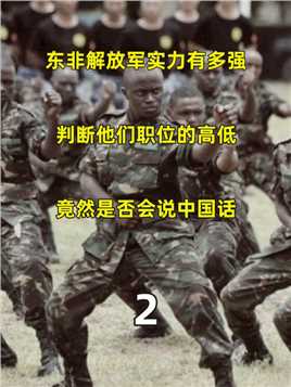 2 .东非解放军实力有多强，判断他们职位的高低，竟然是否会说中国话 