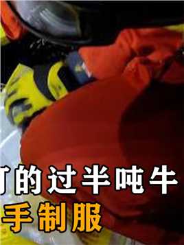 浙江发现300斤“怪物”，口吐白沫干翻半吨牛，被4名消防队员制服