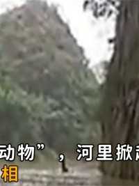 贵州出现巨大“动物”，河里掀起的浪花两米高，专家进洞揭开真相