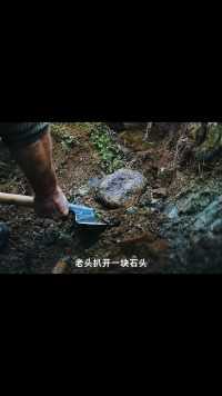 因为一个片段看了整部《永生战士》