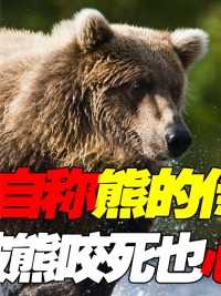 俄罗斯人“每户一熊”，把自己当成熊的传人！被咬死也心甘情愿#棕熊#野生动物#俄罗斯毛子 (2)
