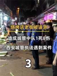 西安城管执法遇刺案件，烧烤店老板被逼急，造成城管中队1死8伤#城管#商贩#社会#真实故事 (3)




