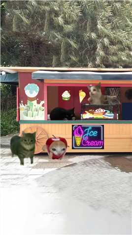 香蕉猫买冰淇淋