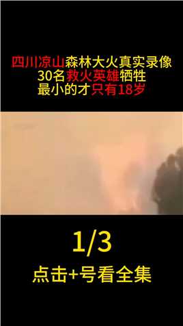四川凉山森林大火真实录像：30名救火英雄牺牲，最小的年仅18岁#四川凉山森林大火#消防战士#烈火英雄 (1)