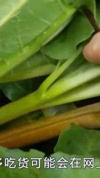 7种会杀死你的危险食物，有些你一定吃过！看完涨知识了