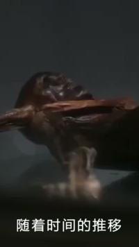 8个最惊人的偶然历史发现，古墓暗藏玄机，竟用活人陪葬