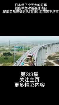 日本做了个天大的好事,截胡中国对越南跨海大桥项目,灾难降临到日本中国少损失百亿 (3)
