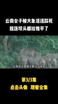 云南女子被大象活活踩死，死后还不放过，坟头都给推平了#动物复仇#奇闻异事#大象 (3)