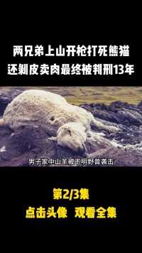 两兄弟上山开枪打死熊猫，卖熊猫肉获利5000元，最终被判刑13年#熊猫#奇闻异事#社会新闻 (2)