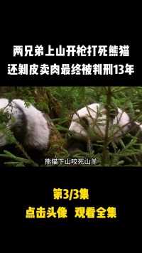 两兄弟上山开枪打死熊猫，卖熊猫肉获利5000元，最终被判刑13年#熊猫#奇闻异事#社会新闻 (3)
