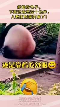 熊猫吃竹子，下意识竟是这个动作，人教版熊猫实锤了！
