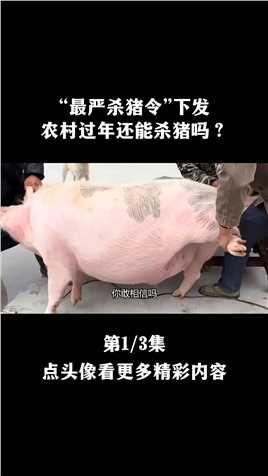 农民在自家杀猪被罚10万元，“最严杀猪令”下发，过年还能杀猪吗#猪#杀年猪#过年#年货#涨知识#科普 (1)