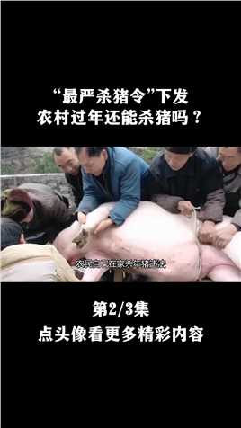 农民在自家杀猪被罚10万元，“最严杀猪令”下发，过年还能杀猪吗#猪#杀年猪#过年#年货#涨知识#科普 (2)