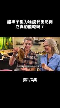 放久的醋坛子里长出肥肉，它真的能吃吗？又为啥说它是好东西？#醋宝#酿醋#红茶菌#涨知识 (1)