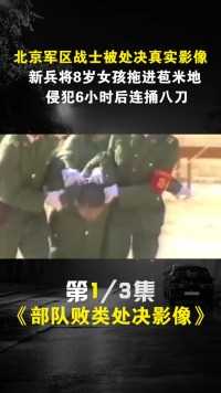 北京战士被处决影像，新兵将8岁女孩拖进田地，侵犯6小时连捅八刀