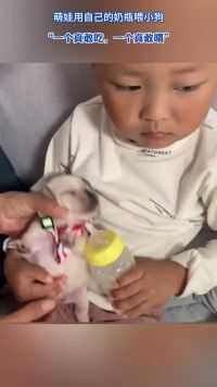 萌娃用自己的奶瓶喂小狗，“一个真敢吃，一个真敢喂”