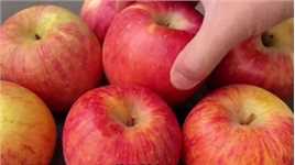 为什么南方人都不喜欢吃苹果？网友：苹果存在的意义仅是探病和拜神