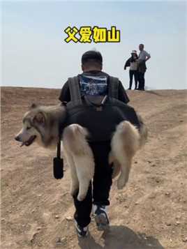 此行负重八九十斤，带着狗爬到了山顶！#傻狗的日常#动物的迷惑行为#萌宠出道计划#