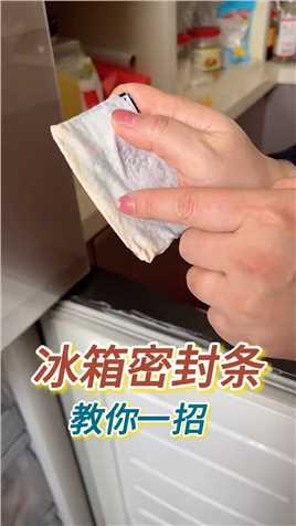 冰箱密封条清洁#小妙招大作用 #学会快去试试吧 #冰箱清洗