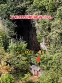 重庆深山发现一天坑，还特意修了一道门，里面到底藏着什么？
