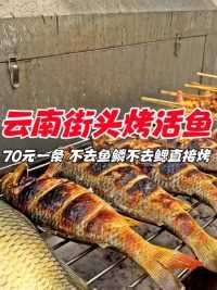 云南西双版纳街头美食活烤鲤鱼，70元一条，不去鱼鳞不去腮直接烤，外地人第一次见