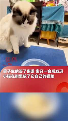 甘肃庆阳，男子生病买了粥喝 离开一会后发现，小猫在粥里放了它自己的猫粮，主人：粥喝了 心意不能浪费