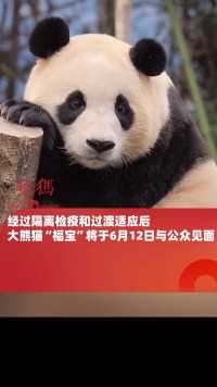 经过隔离检疫和过渡适应后，大熊猫“福宝”将于6月12日与公众见面


