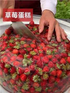 最大草莓蛋糕