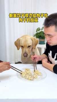 狗：救命啊，饺子咬着我的牙不放…