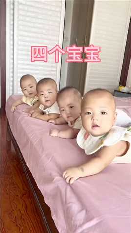 四个宝宝抬着脑袋的样子,真是太可爱了