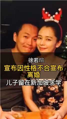 徐若瑄宣布离婚，因性格不合，儿子继续留在新加坡