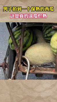 男子拍到一个保熟的西瓜，这是真的滚瓜烂熟#社会百态 