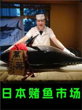 日本“赌鱼”市场，一条鱼卖2000万，切开才知输赢