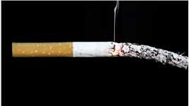 你知道香烟的危害有多大吗？