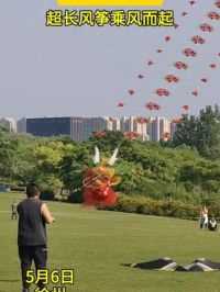 大龙湖惊现超长龙串类风筝 #大龙湖风筝节