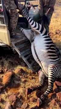 南非私人狩猎场