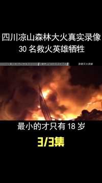 四川凉山森林大火真实录像：30名救火英雄牺牲，最小战士只有18岁 (3)