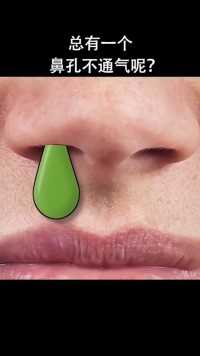 为什么感冒鼻塞时，总有一个鼻孔不通气呢？ 微视科普达人