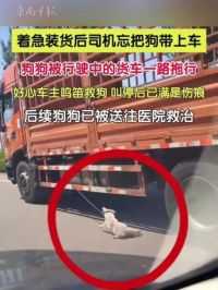 因货主催装货，司机慌忙中忘把狗带上车，被行驶中的货车一路拖行。