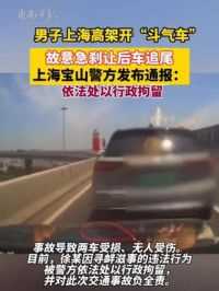 男子上海高架开“斗气车”，故意急刹让后车追尾，上海宝山警方发布通报：依法处以行政拘留