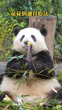 大熊猫和花 ：姨姨别担心！我家大业大笋笋随便吃！管够！