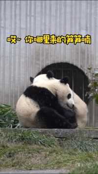 大熊猫和：哼！小气鬼再也不跟你耍了！