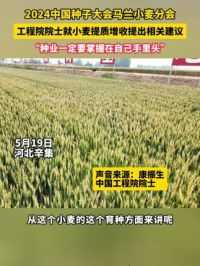 5月19日，河北辛集。康振生院士：种业一定要掌握在自己手里头。#种子大会 #小麦